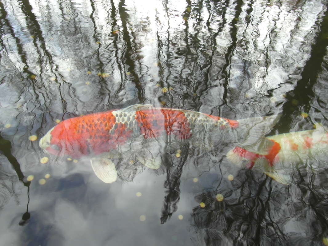 *** ����� Pavel Filipenkov �� PhotoGeek.ru #������ ��� �������