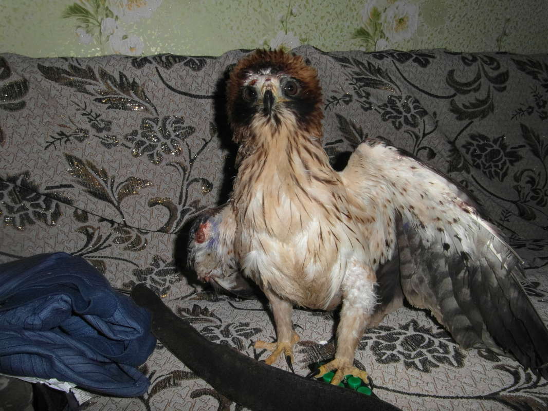 ����� ������ ��������. ����� Pavel Filipenkov �� PhotoGeek.ru #�������� ���