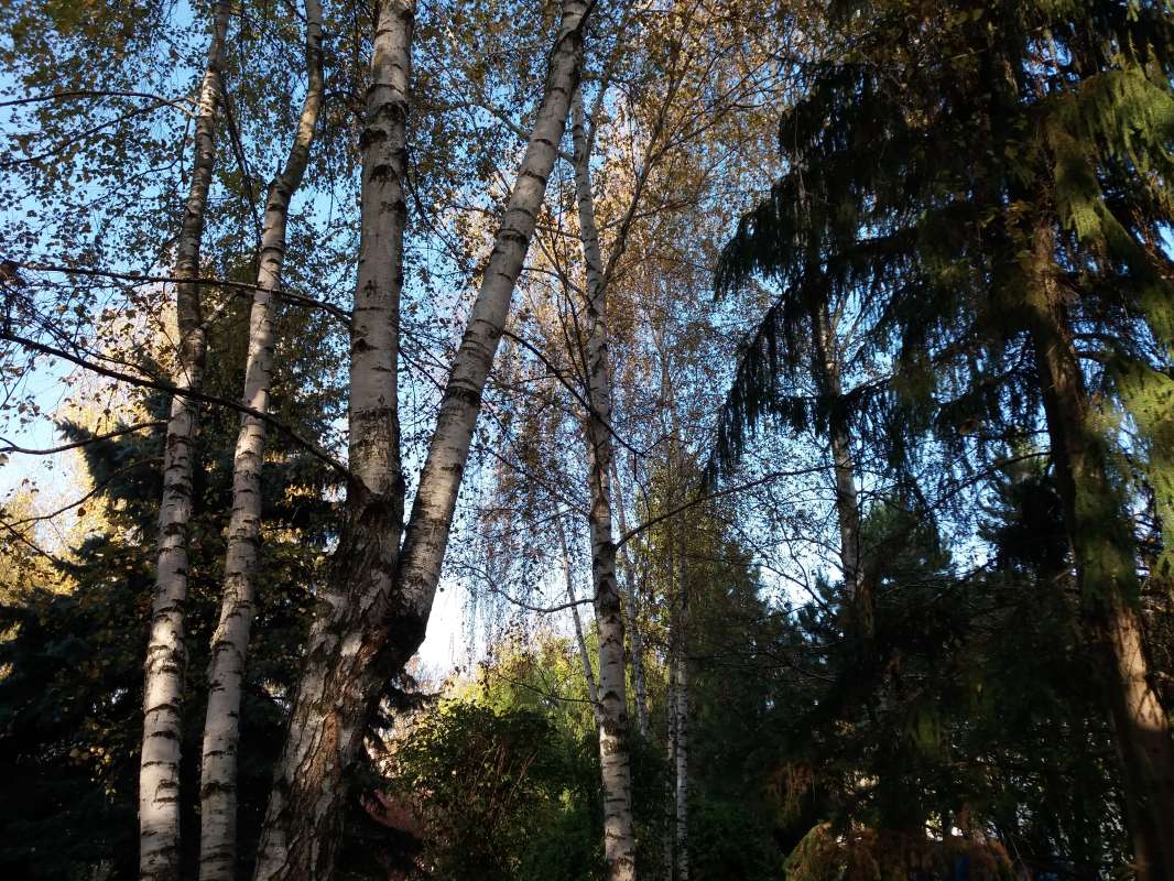 *** ����� Pavel Filipenkov �� PhotoGeek.ru #������ ��� �������