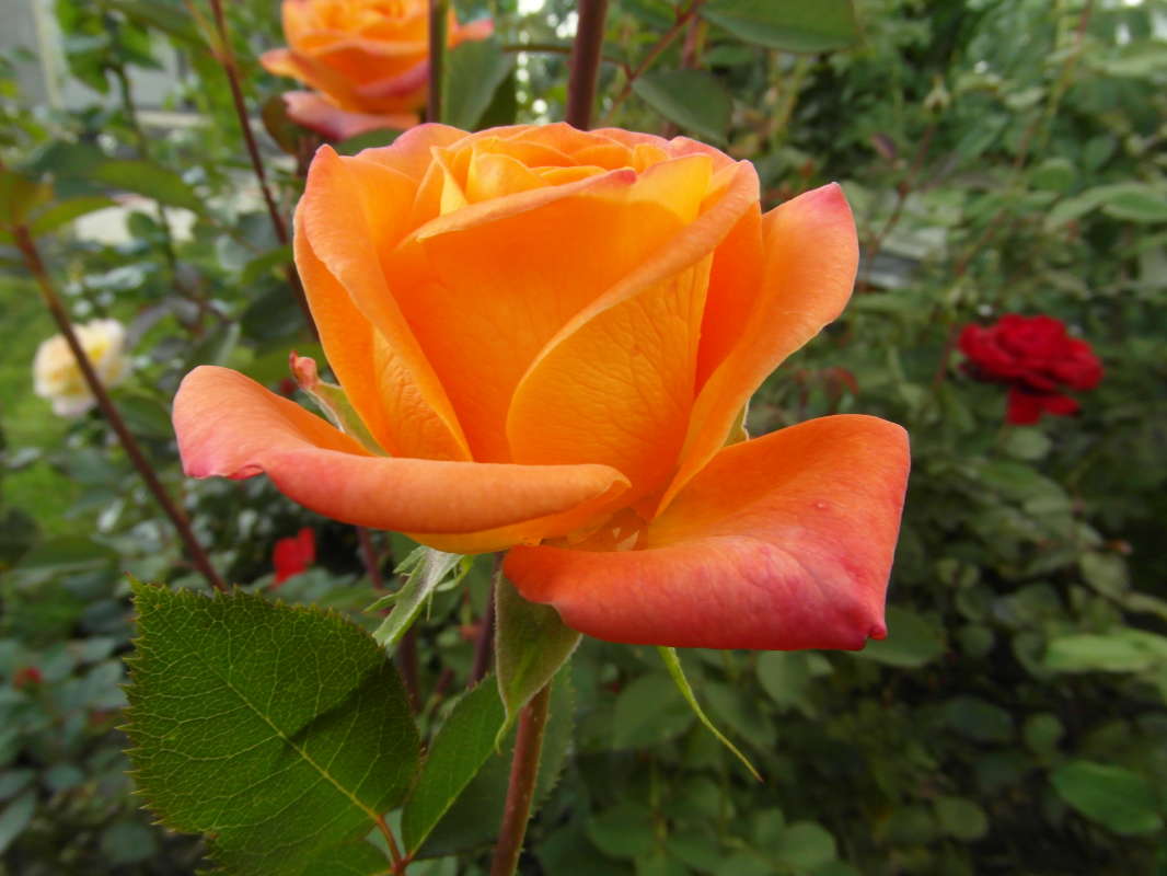 *** ����� Pavel Filipenkov �� PhotoGeek.ru #�����