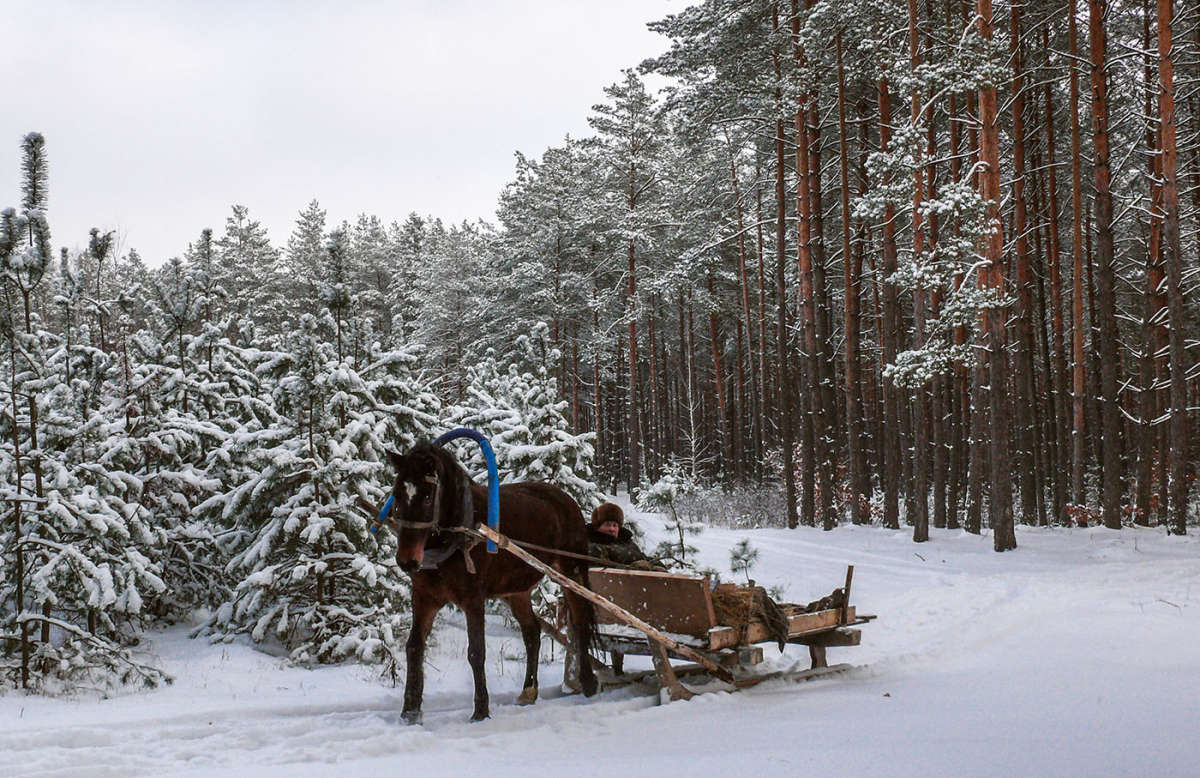 *** ����� Pavel Filipenkov �� PhotoGeek.ru #������ ��� �������