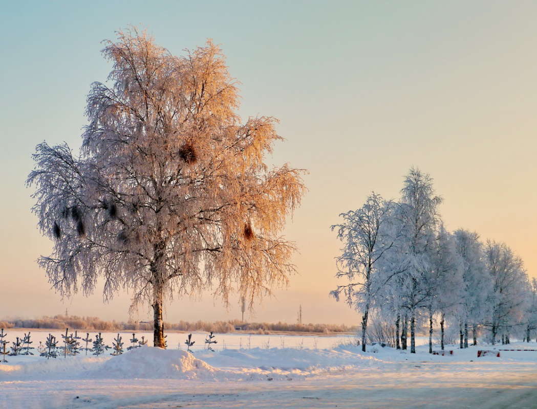 *** ����� Pavel Filipenkov �� PhotoGeek.ru #������ ��� �������