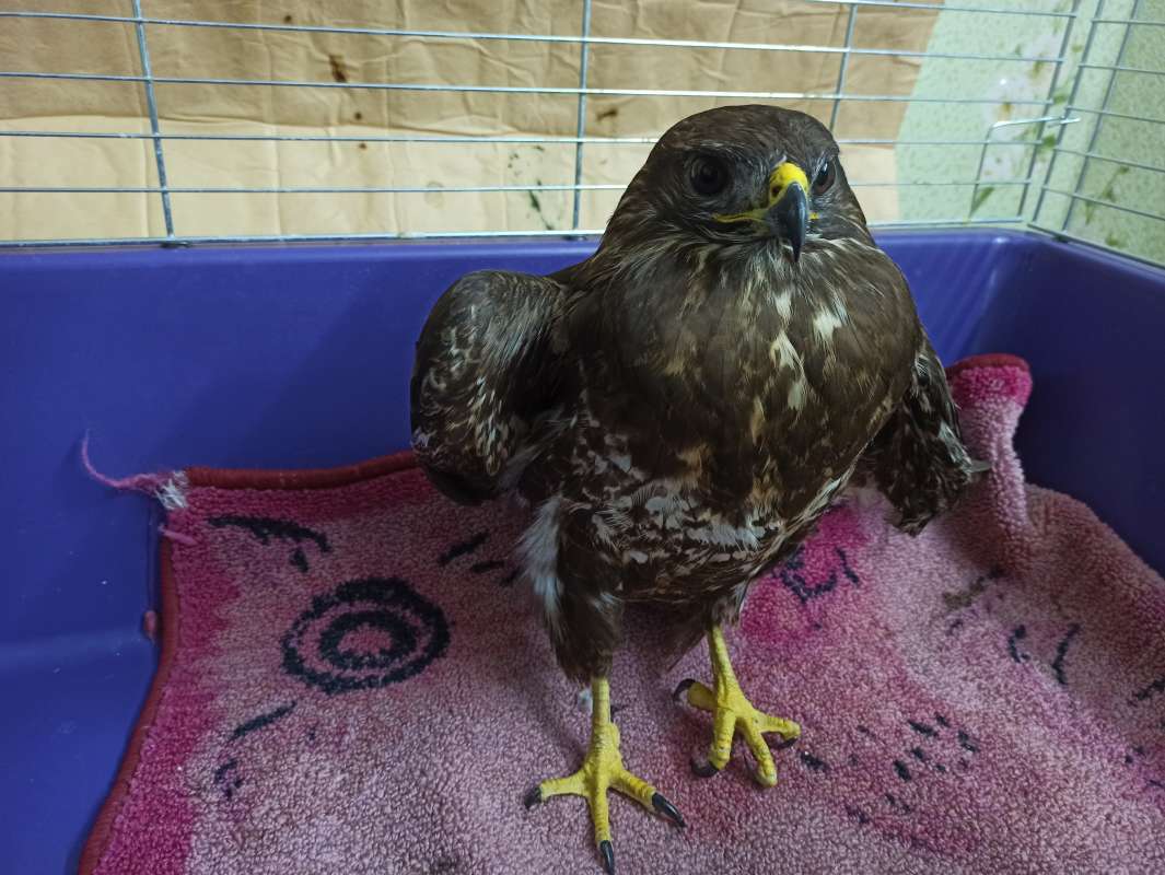 �������� ������. ����� Pavel Filipenkov �� PhotoGeek.ru #�������� ���