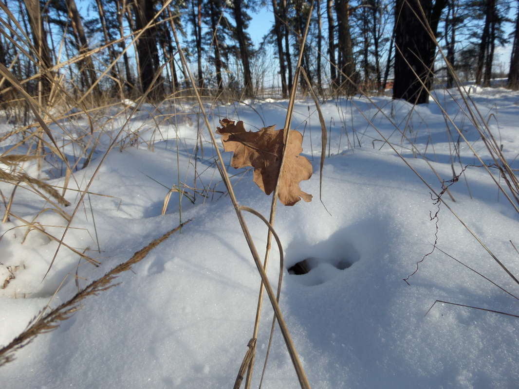 *** ����� Pavel Filipenkov �� PhotoGeek.ru #������ ��� �������