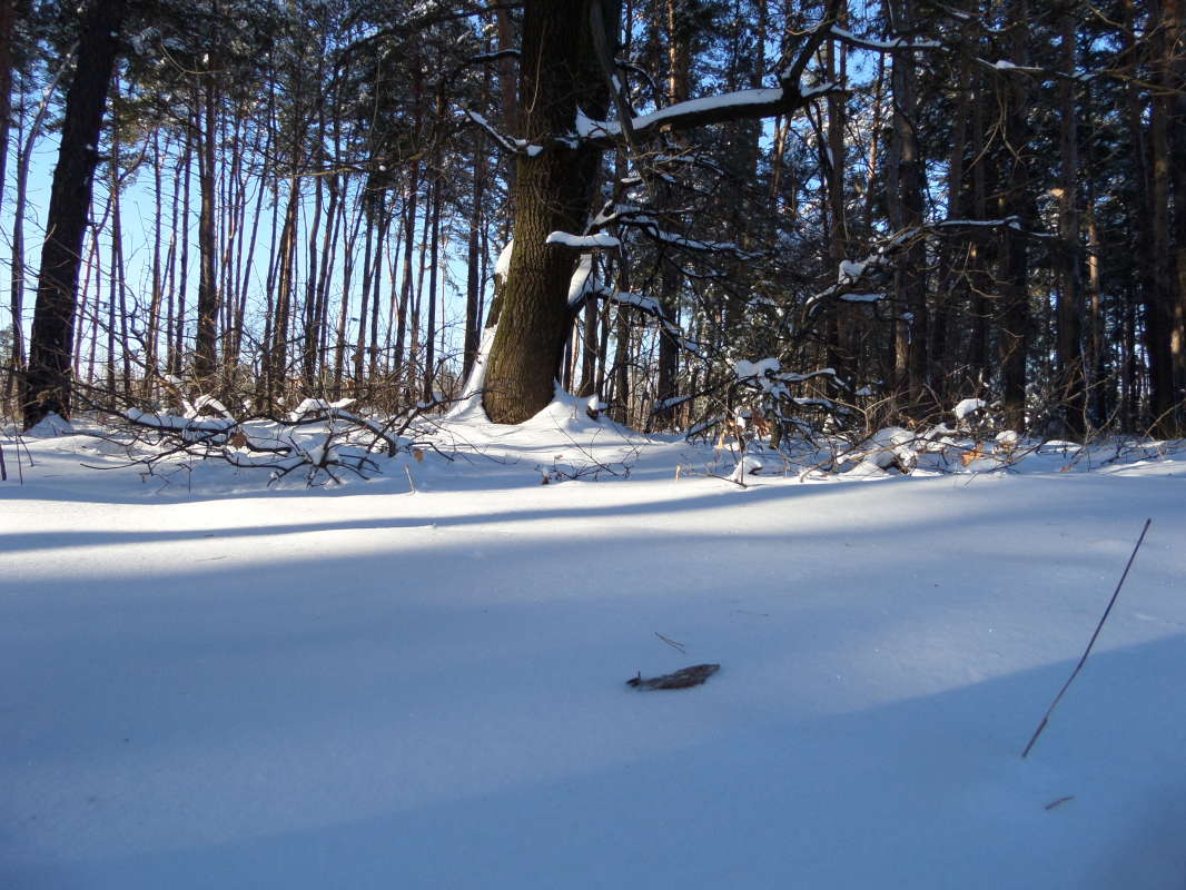 *** ����� Pavel Filipenkov �� PhotoGeek.ru #������ ��� �������