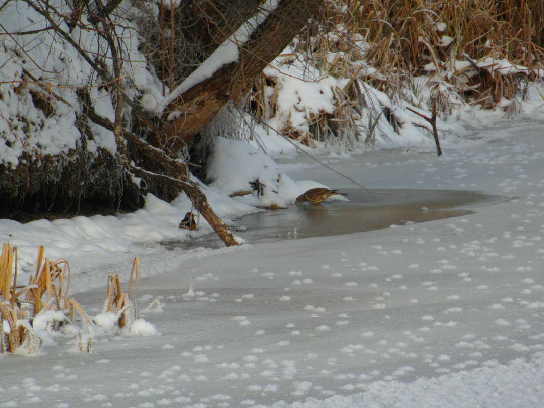 ������. ����� Pavel Filipenkov �� PhotoGeek.ru #������ ��� �������