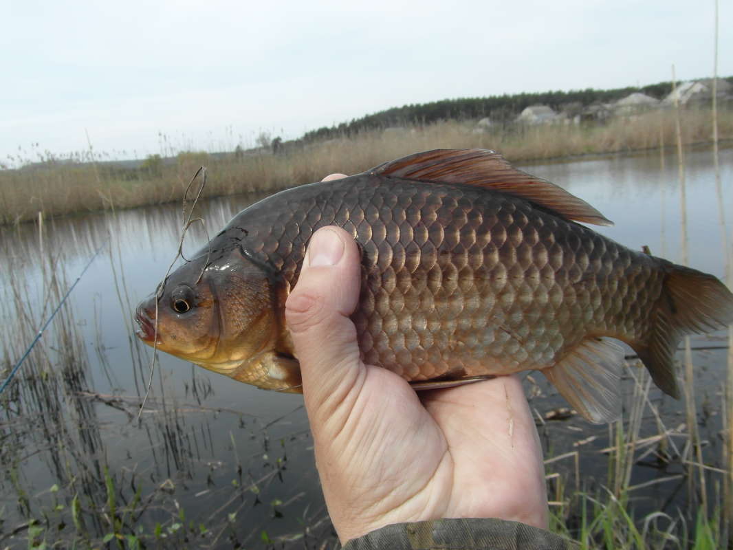 �������� �������. ����� Pavel Filipenkov �� PhotoGeek.ru #�����