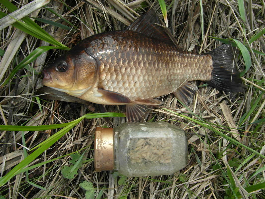 ���������. ����� Pavel Filipenkov �� PhotoGeek.ru #�����