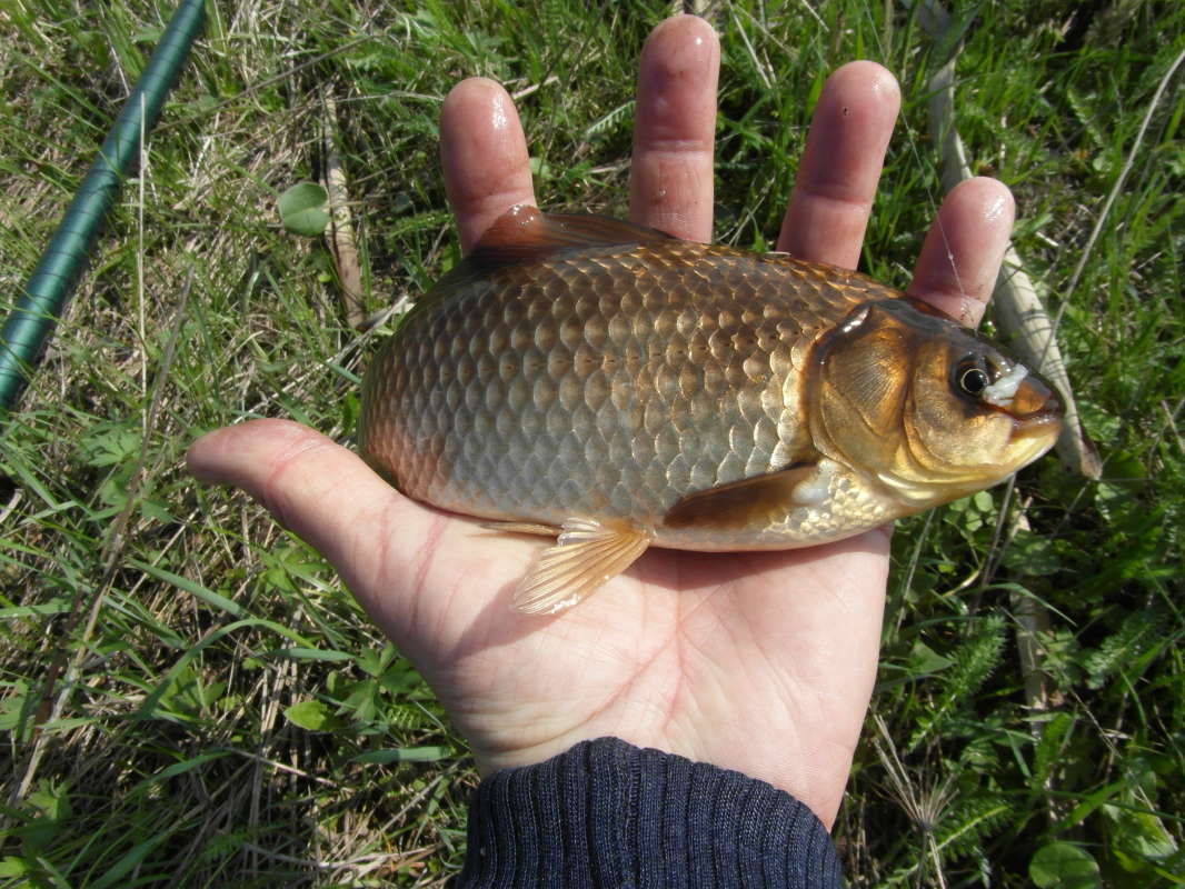 ���������. ����� Pavel Filipenkov �� PhotoGeek.ru #�����