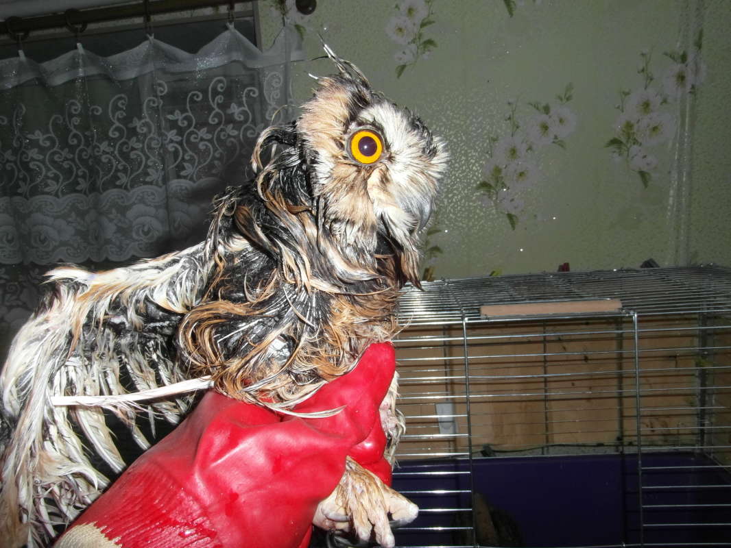 �������� ������� ����. ����� Pavel Filipenkov �� PhotoGeek.ru #�������� ���