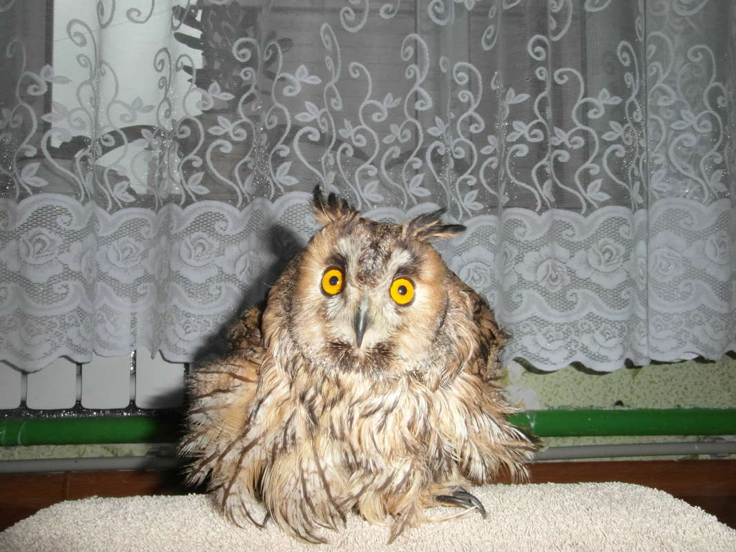 ���������. ����� Pavel Filipenkov �� PhotoGeek.ru #�������� ���