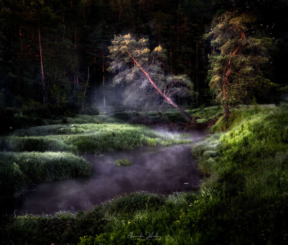 ������ ������ ����� Alex Mimo  �� PhotoGeek.ru #������ ��� �������