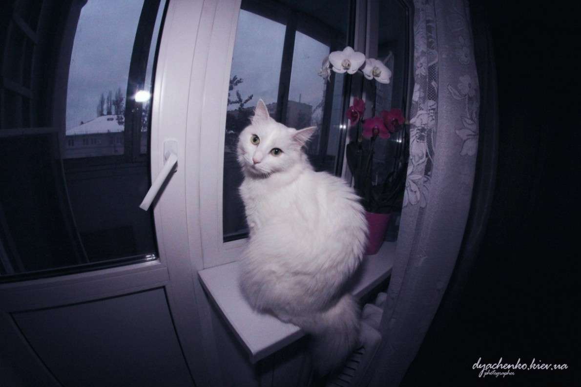 ... ����� ��������� �������� �� PhotoGeek.ru #�������� ��� #�������� ���