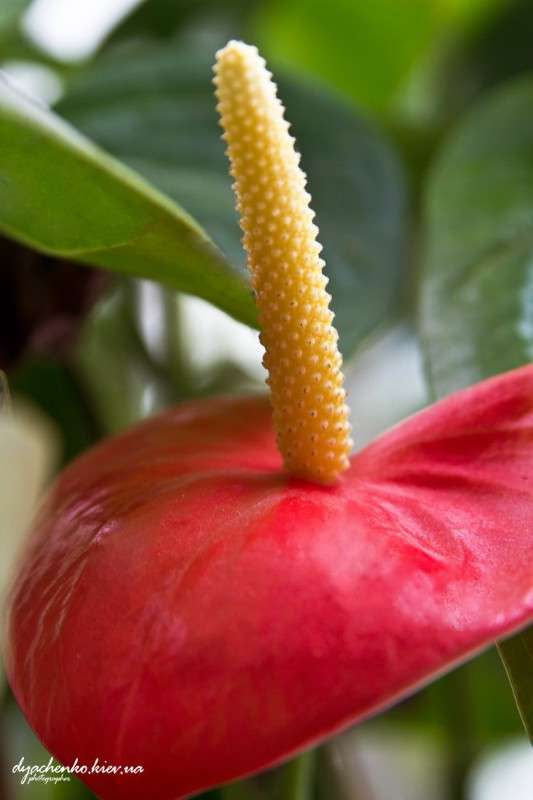 ... ����� ��������� �������� �� PhotoGeek.ru #������ ��� �������