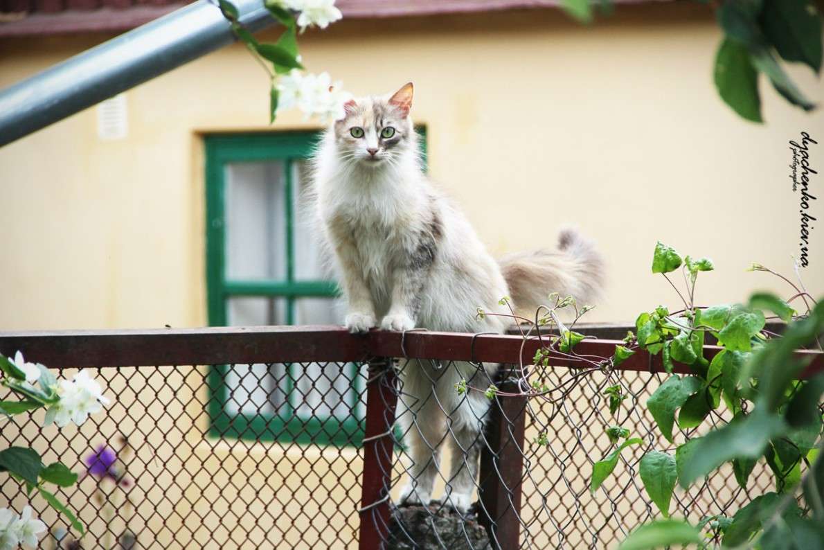 ... ����� ��������� �������� �� PhotoGeek.ru #�������� ���