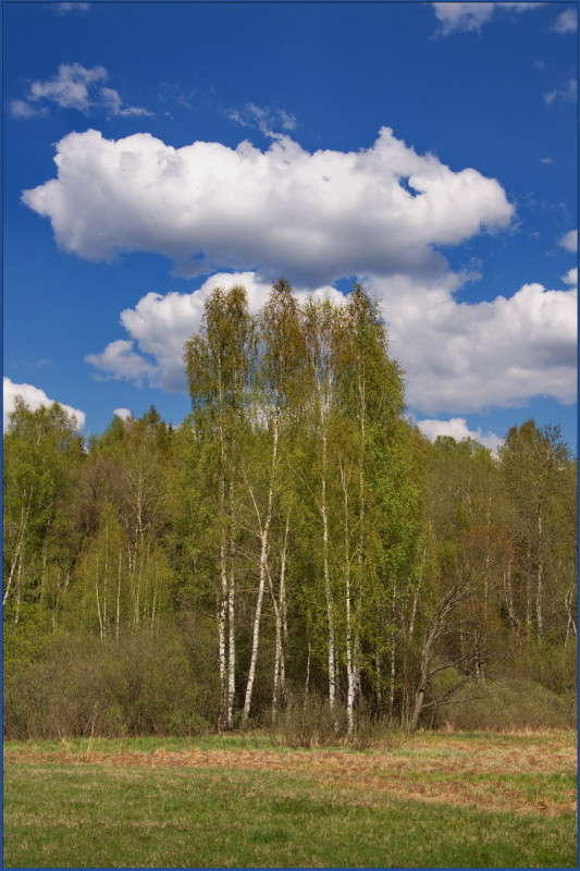 ������ ��� �������. ����� ��������� ���������� �� PhotoGeek.ru #������ ��� �������