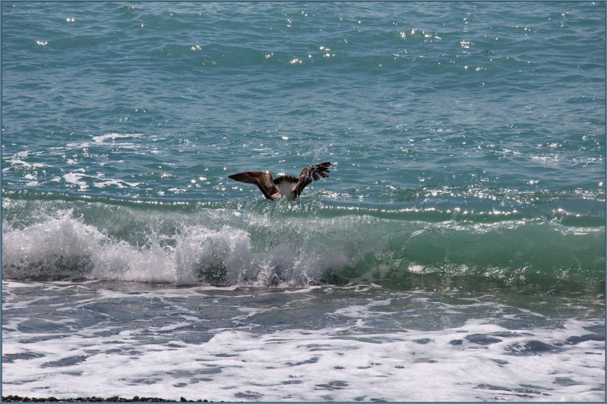 �������. ����� ��������� ���������� �� PhotoGeek.ru #������ ��� �������