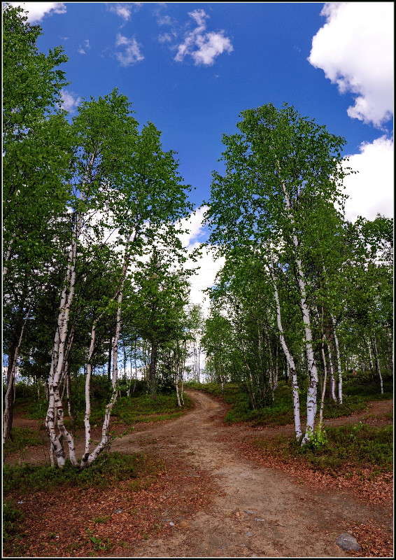 ������������� �������. ����� ��������� ���������� �� PhotoGeek.ru #������ ��� �������