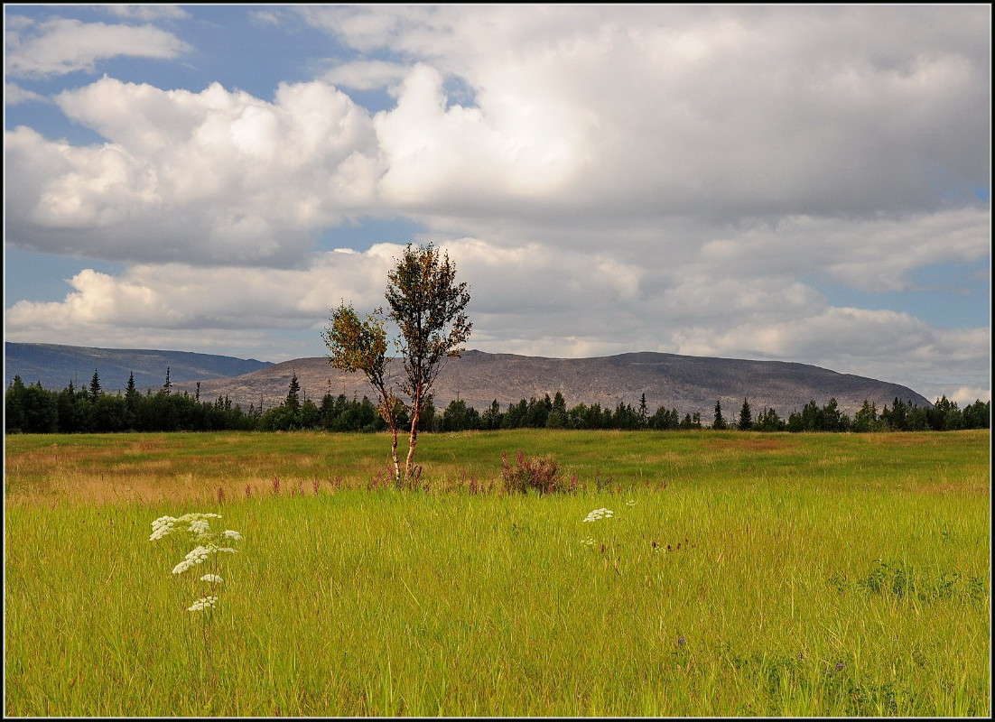 �������� ������. ����� ��������� ���������� �� PhotoGeek.ru #������ ��� �������