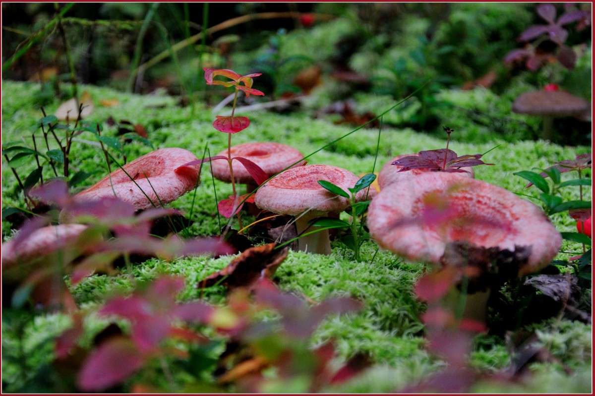 ������� �� ���. ����� ��������� ���������� �� PhotoGeek.ru #������ ��� �������