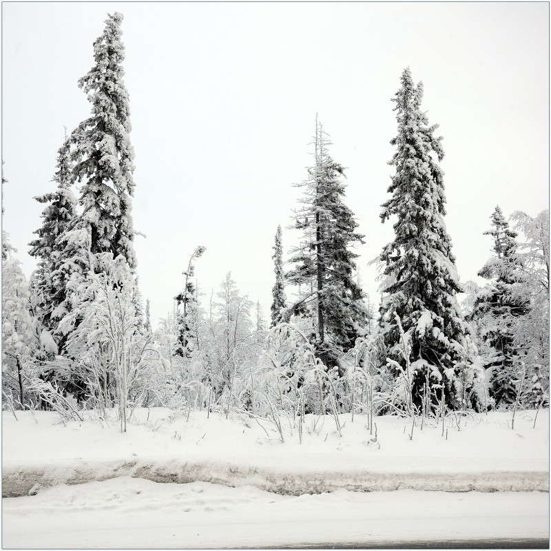 Заполярная зима. автор Александр Максименко на PhotoGeek.ru #Пейзаж или природа #Заполярье #Зима #Мороз #Север #Снег