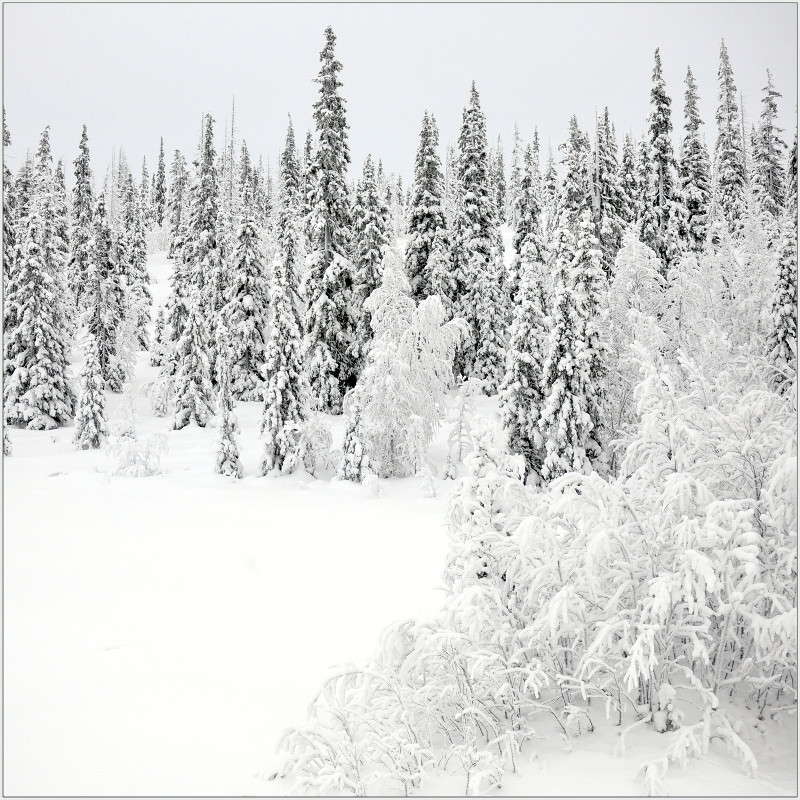 ���������� ����. ����� ��������� ���������� �� PhotoGeek.ru #������ ��� �������