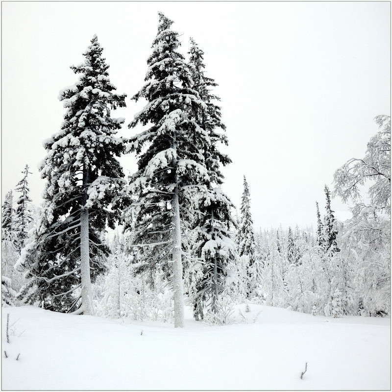 ���������� ����. ����� ��������� ���������� �� PhotoGeek.ru #������ ��� �������