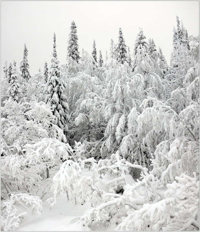 ���������� ����. ����� ��������� ���������� �� PhotoGeek.ru #������ ��� �������