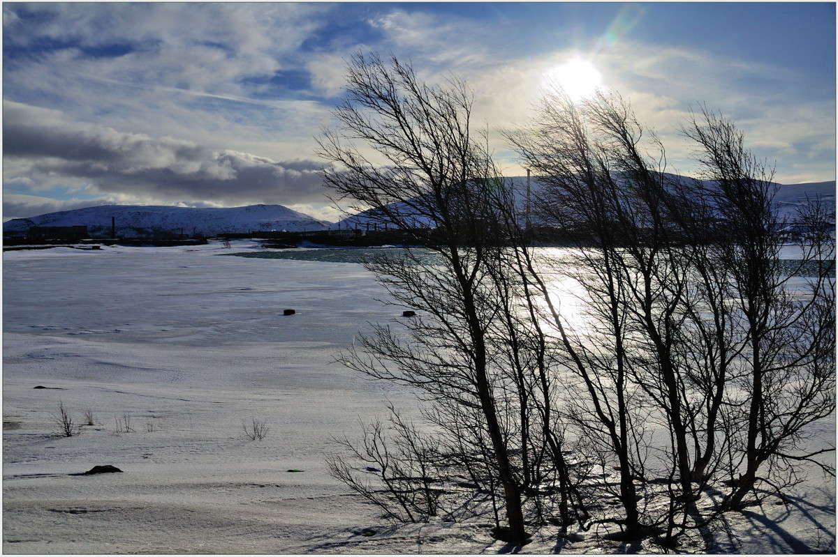 ������� ������ ���������. ����� ��������� ���������� �� PhotoGeek.ru #������ ��� �������