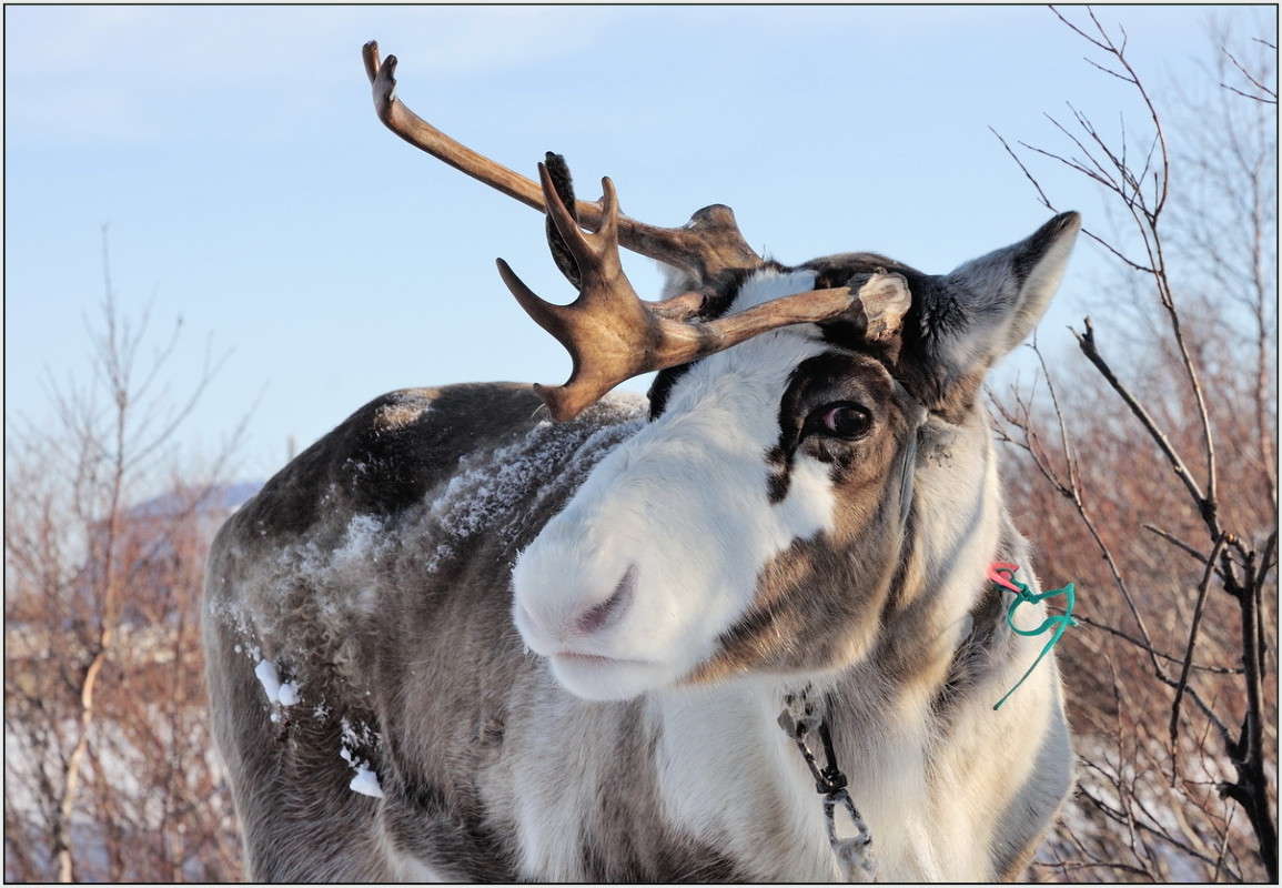 �����. ����� ��������� ���������� �� PhotoGeek.ru #�������� ���