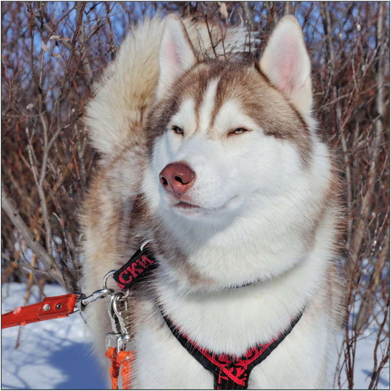 �������� �����. ����� ��������� ���������� �� PhotoGeek.ru #�������� ���