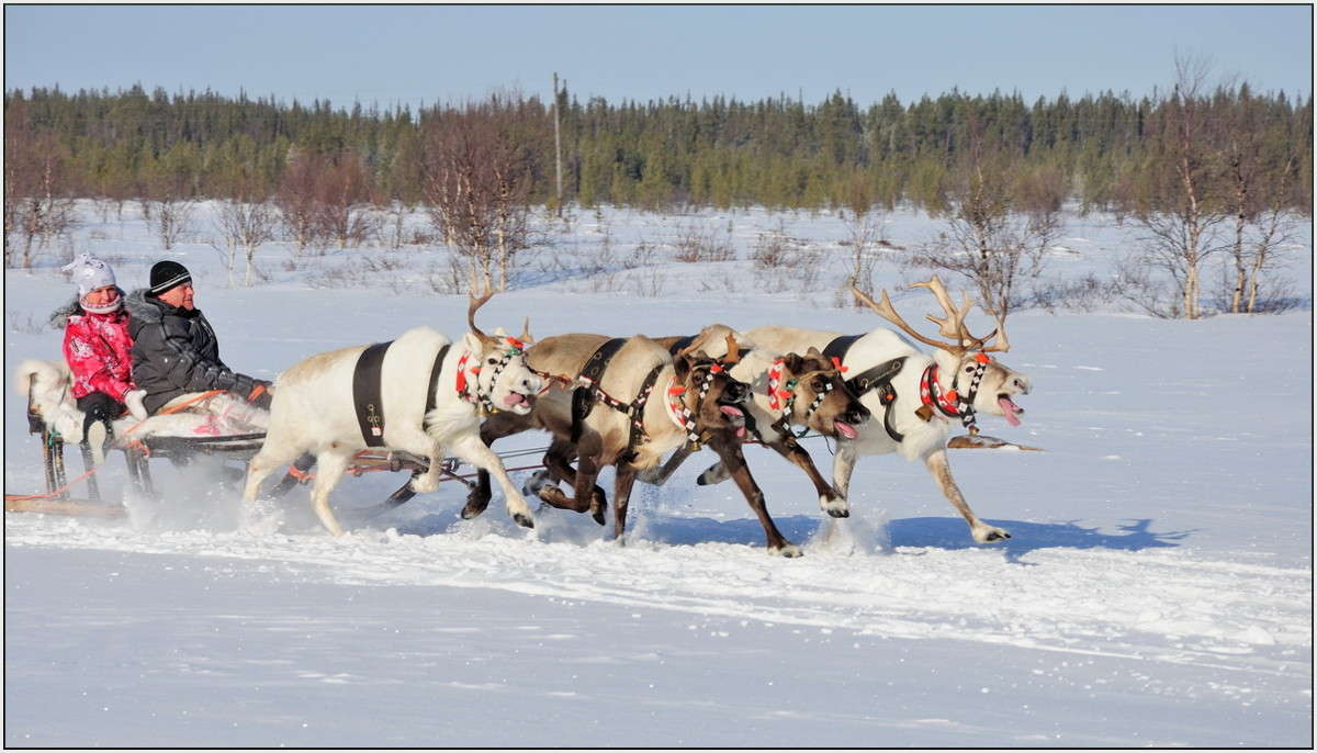 ���� �� ��� �����. ����� ��������� ���������� �� PhotoGeek.ru #�������� ���