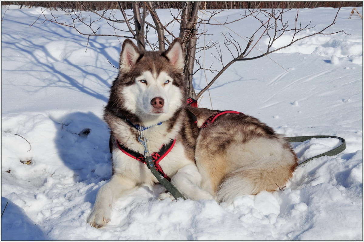 ����� ����� ��������� ���������� �� PhotoGeek.ru #�������� ���