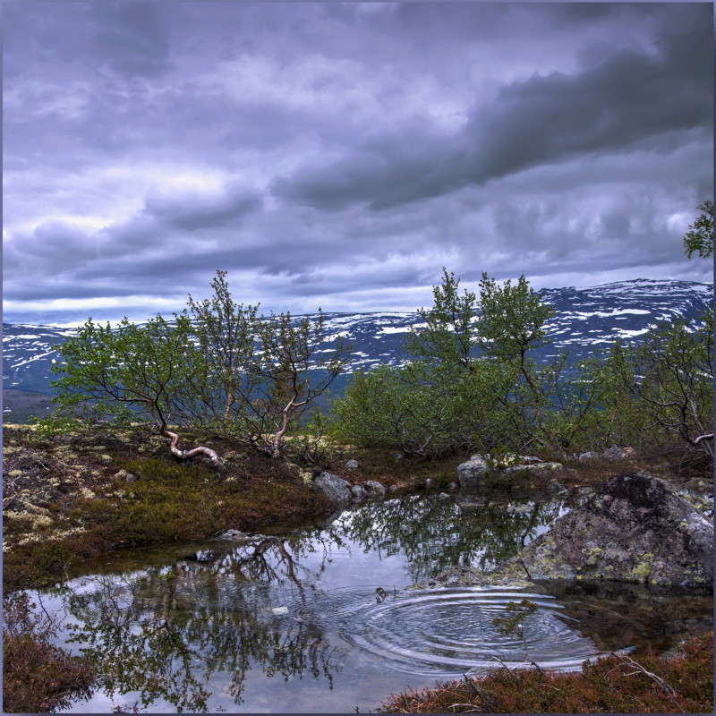 ����... ����� ��������� ���������� �� PhotoGeek.ru #������ ��� �������