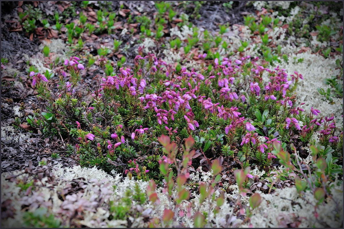 ���������� �����. ����� ��������� ���������� �� PhotoGeek.ru #������ ��� �������