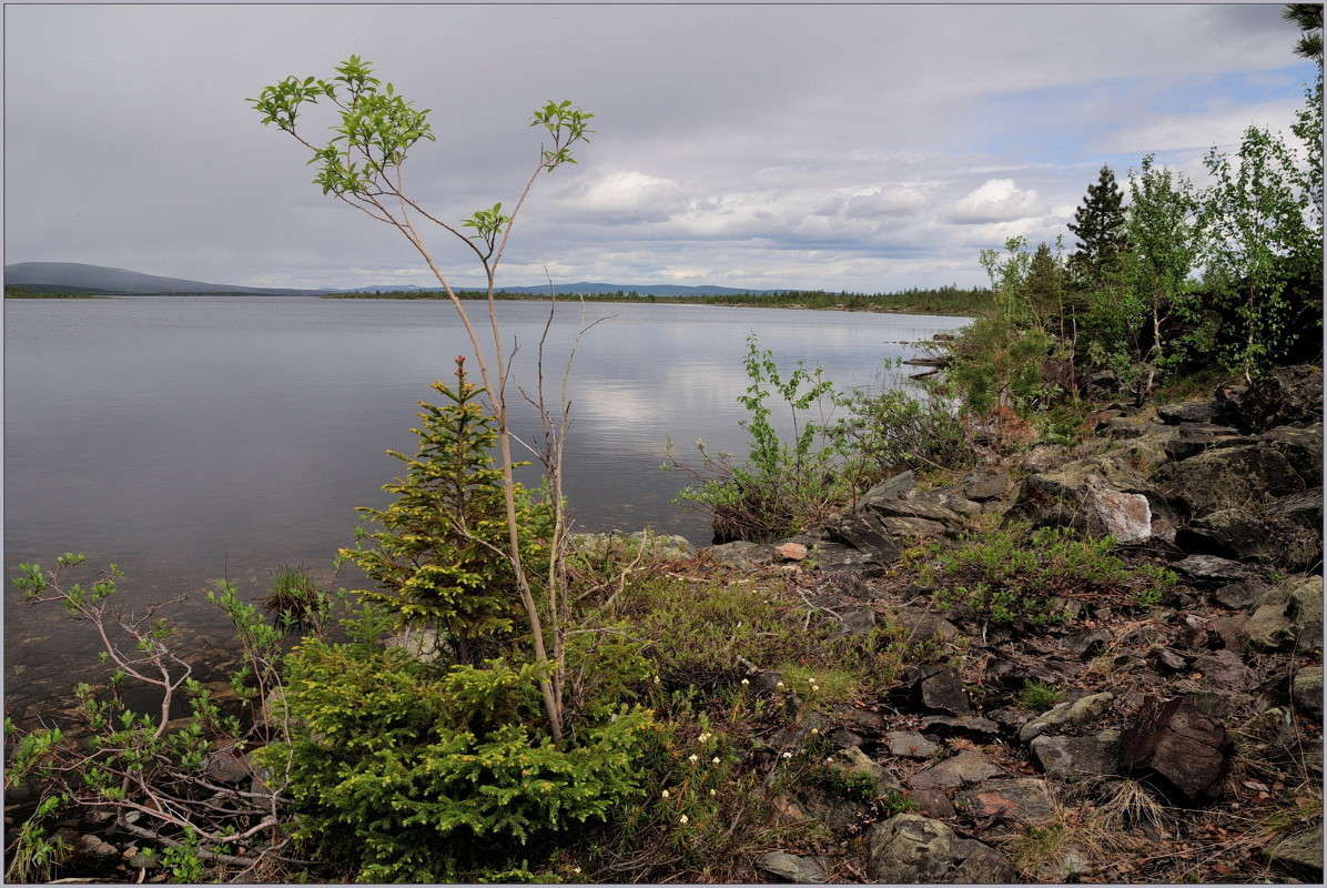 ������ �� ����������. ����� ��������� ���������� �� PhotoGeek.ru #������ ��� �������