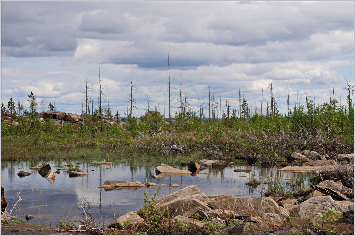 ����������. ����� ��������� ���������� �� PhotoGeek.ru #������ ��� �������