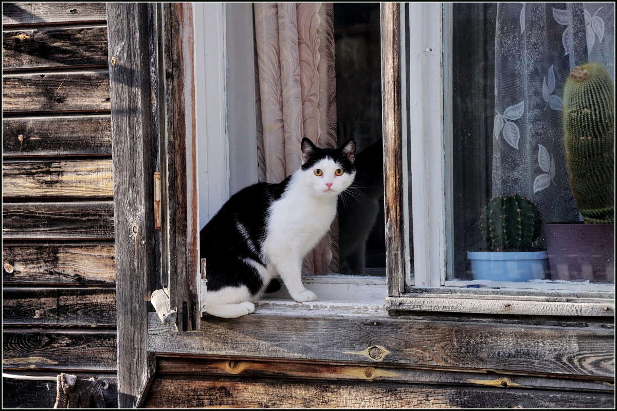 ����� �� ����. ����� ��������� ���������� �� PhotoGeek.ru #�������