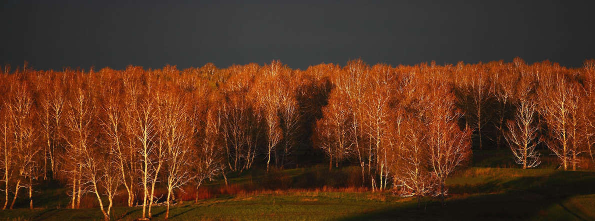 ����� ������ ����� ������ ����� ������� ��������� �� PhotoGeek.ru #������ ��� ������� #����� �������������� #��������