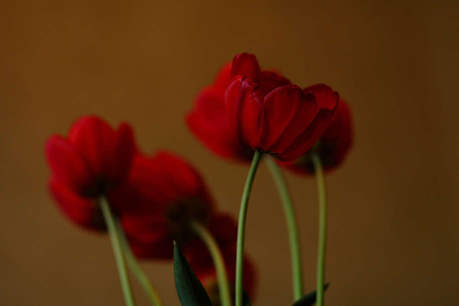 �������� ����� ������� ��������� �� PhotoGeek.ru #��������� #�������������