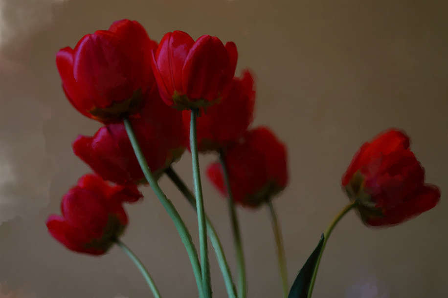 ����� ����� ������� ��������� �� PhotoGeek.ru #��������� #�������� ���������� #�������������