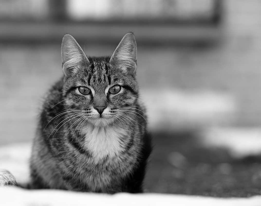 ... ����� ������� ��������� �� PhotoGeek.ru #�������� ��� #�������� ���