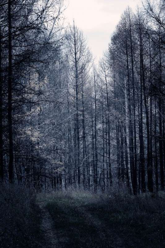 ��� ����� ������� ��������� �� PhotoGeek.ru #������ ��� �������