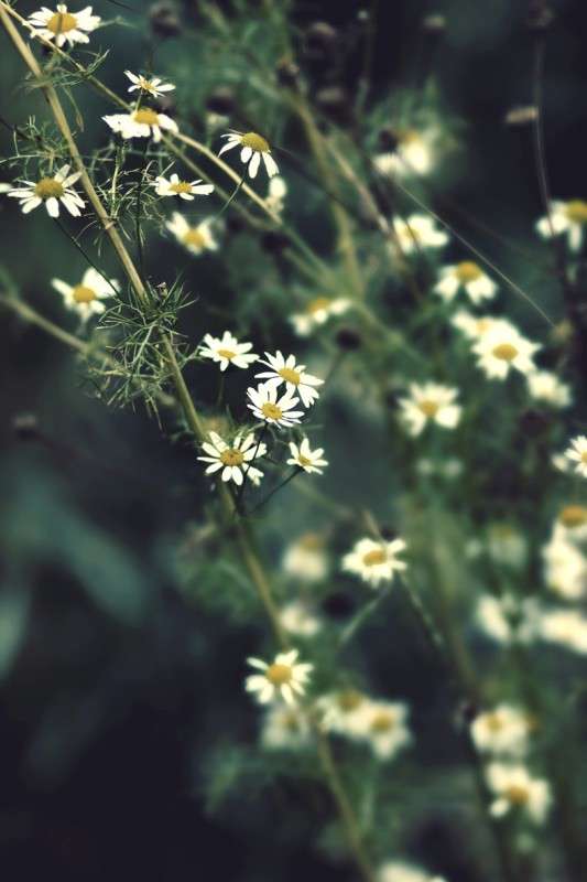 ������� ������� ����� ������� ��������� �� PhotoGeek.ru #������ ��� �������