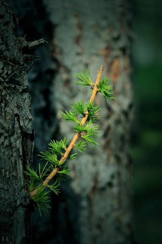 sgfg ����� ������� ��������� �� PhotoGeek.ru #������ ��� �������