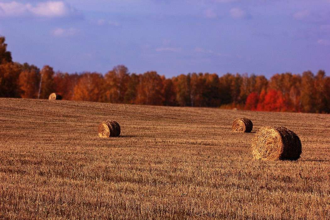 ����� ����� ������� ��������� �� PhotoGeek.ru #������ ��� �������