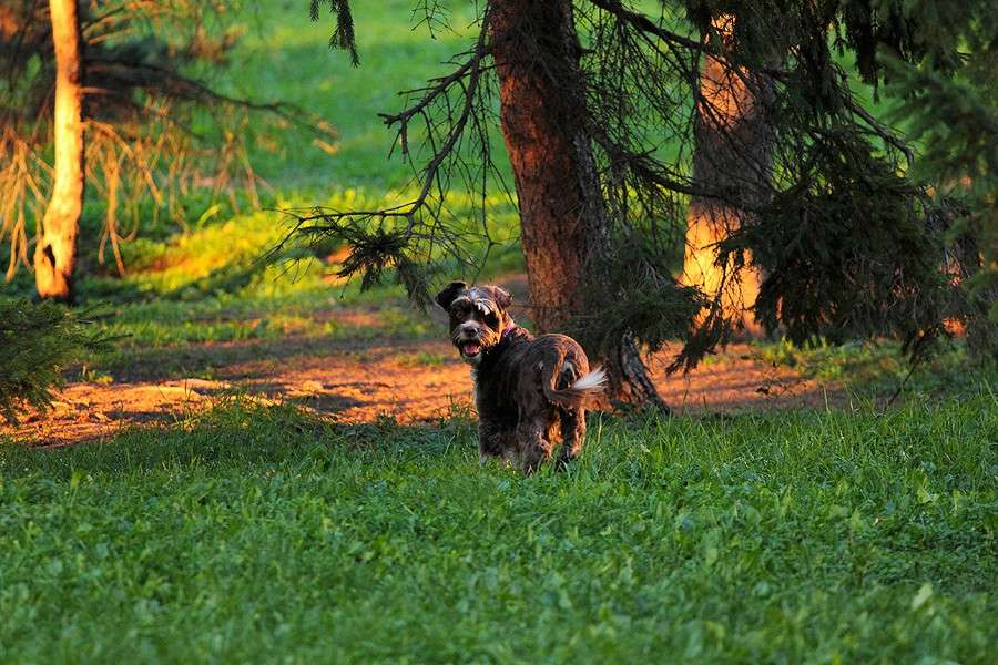 ���� ����� ������� ��������� �� PhotoGeek.ru #�������� ���