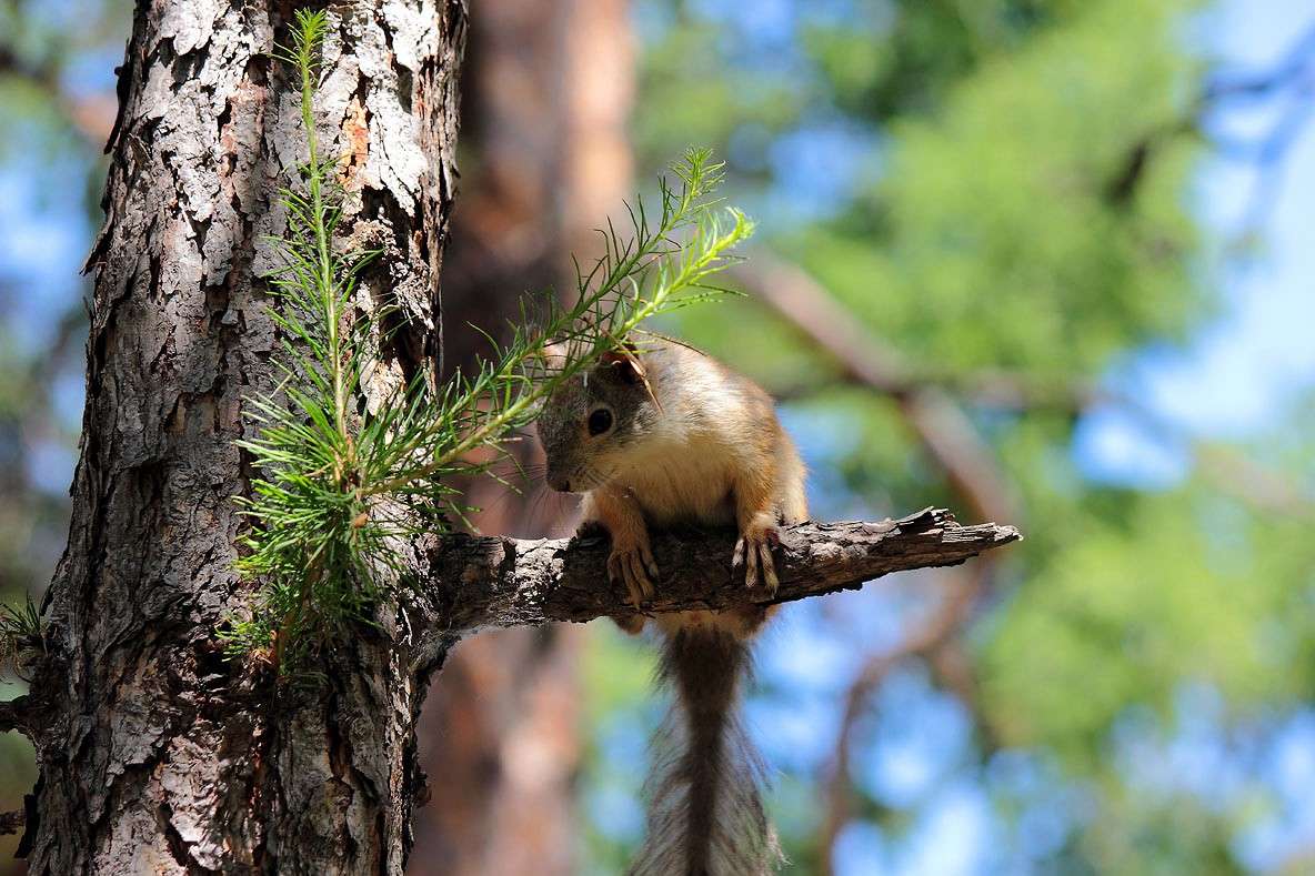 ����� ����� ������� ��������� �� PhotoGeek.ru #�������� ���