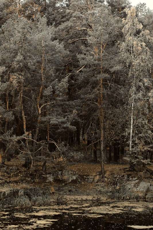 ... ����� ������� ��������� �� PhotoGeek.ru #������ ��� �������