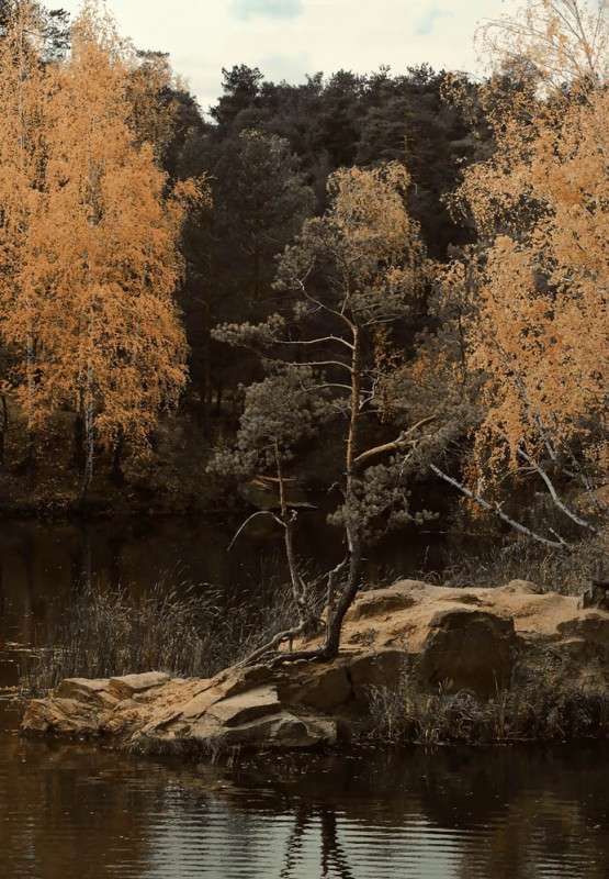 jh ����� ������� ��������� �� PhotoGeek.ru #������ ��� �������